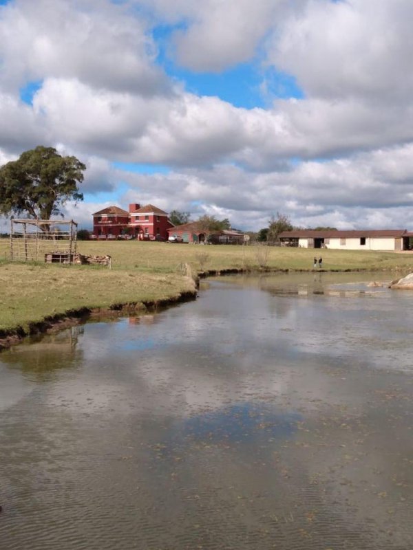 Fazenda - Venda - - - Pinheiro Machado - RS